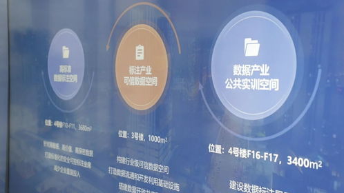 成都新津 一座引領(lǐng)未來(lái)的“數(shù)據(jù)加工廠”如何重塑軟件開(kāi)發(fā)產(chǎn)業(yè)生態(tài)